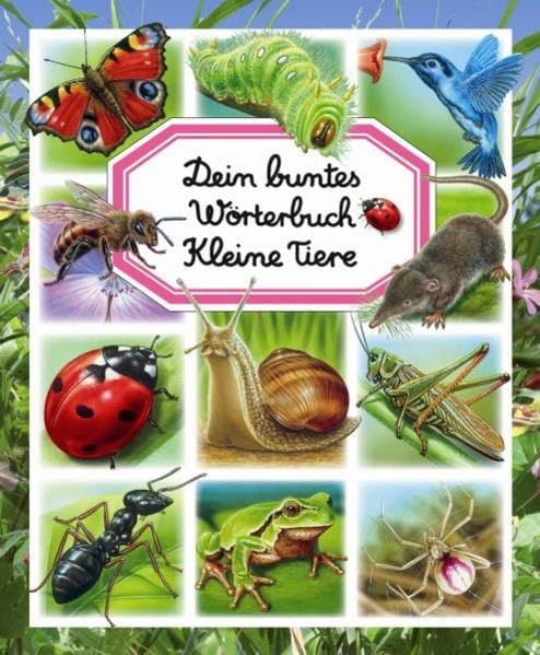 Dein buntes Wörterbuch Kleine Tiere Non-fiction