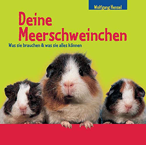 Deine Meerschweinchen: Was sie brauchen & was sie alles können Non-fiction
