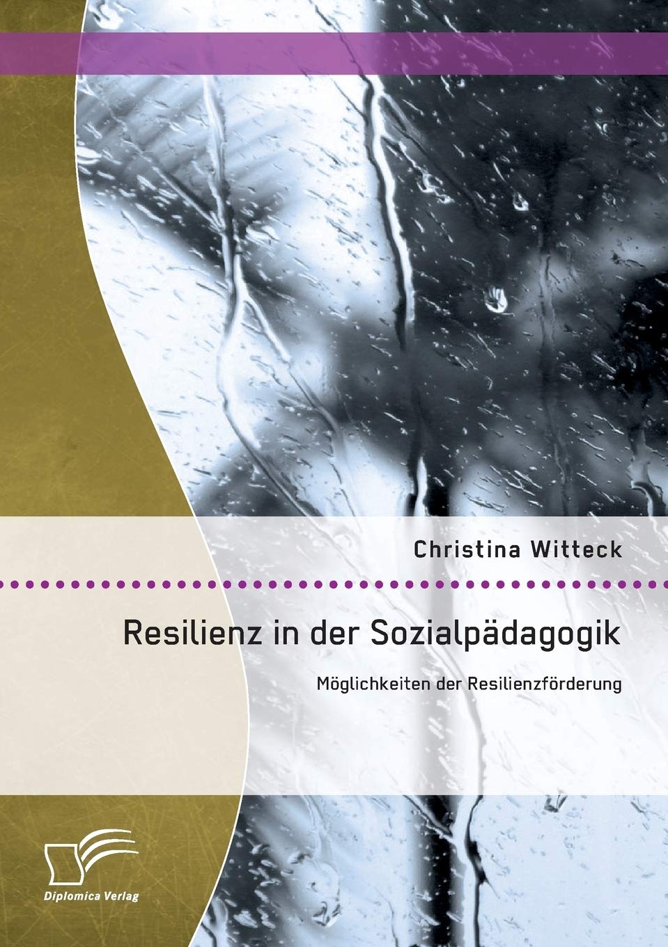 Resilienz in der Sozialpädagogik: Möglichkeiten der Resilienzförderung Social Sciences