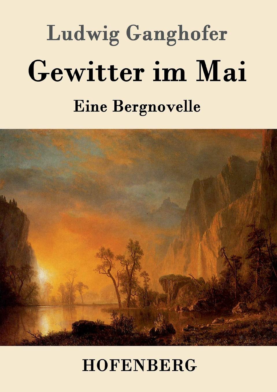 Gewitter im Mai: Eine Bergnovelle Contemporary literature