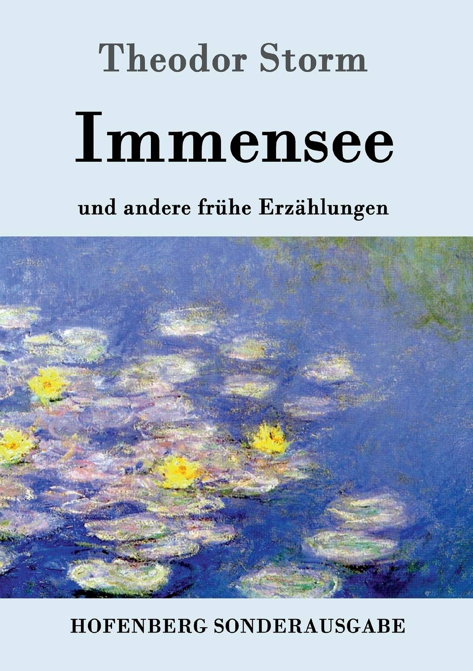 Immensee: und andere frühe Erzählungen book