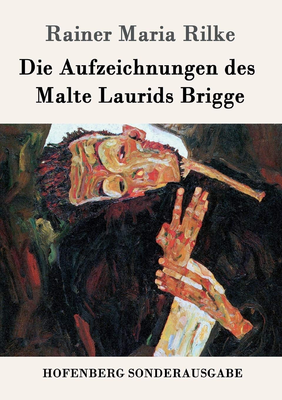Die Aufzeichnungen des Malte Laurids Brigge book