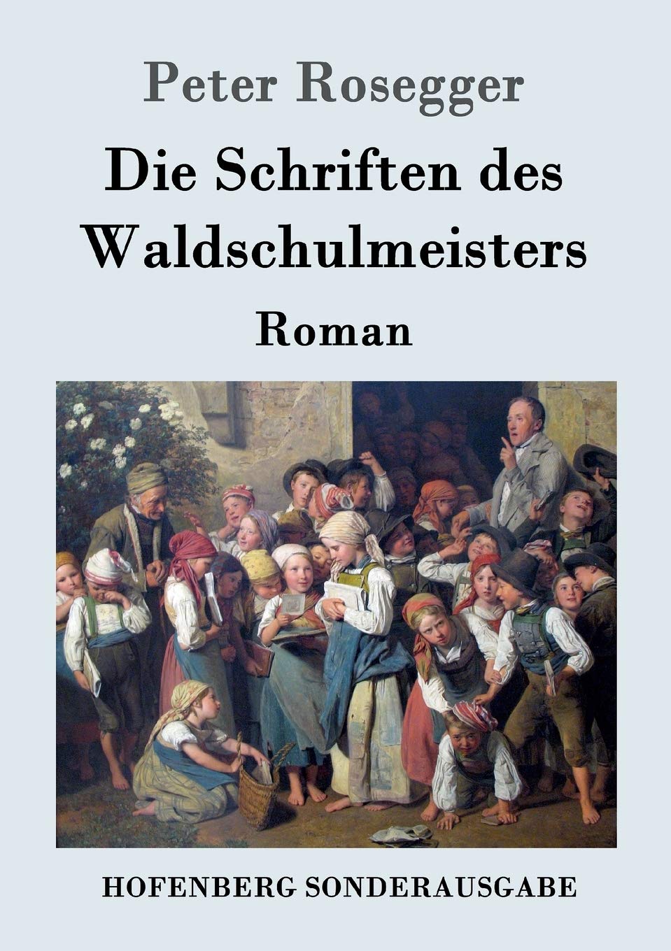 Die Schriften des Waldschulmeisters: Roman Contemporary literature
