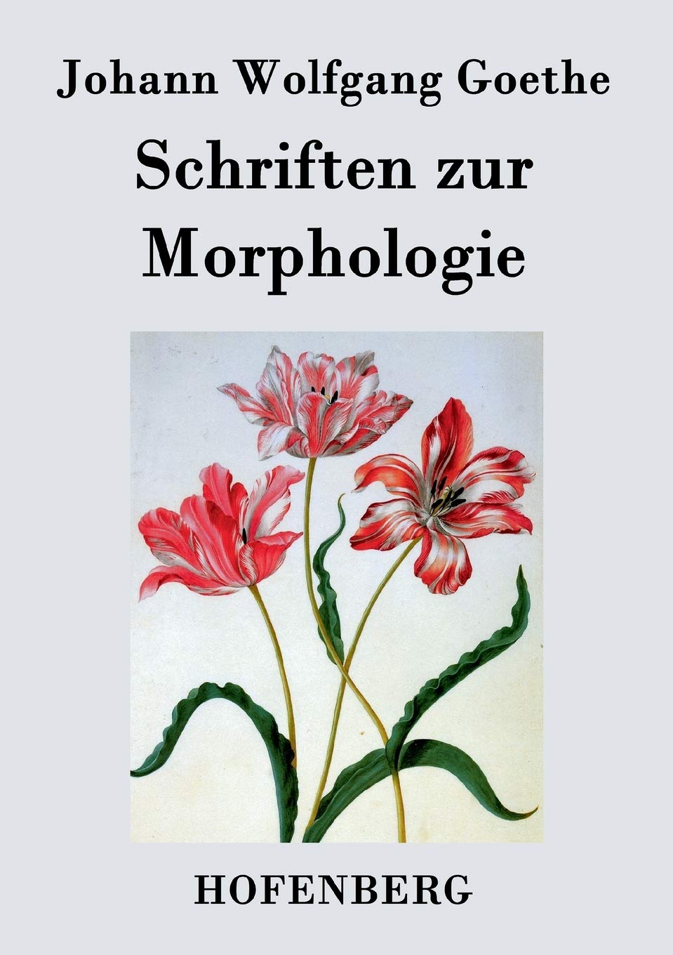 Schriften zur Morphologie Business & Technology