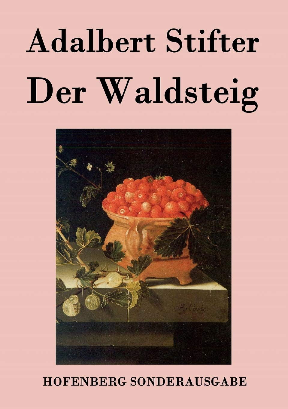 Der Waldsteig Contemporary literature