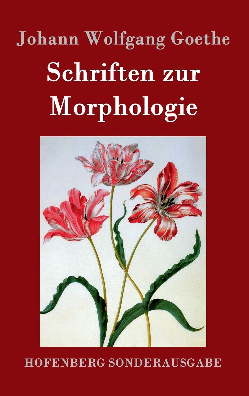 Schriften zur Morphologie Business & Technology