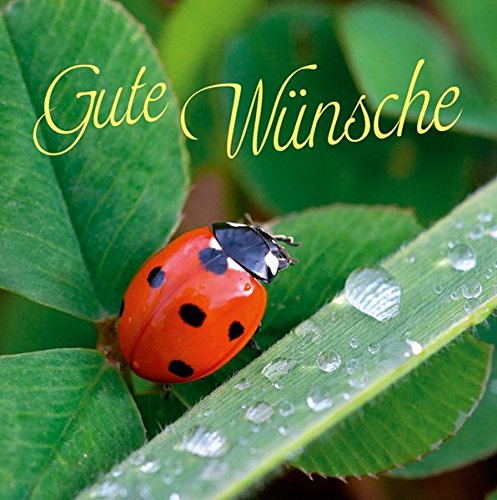 Product Image: Gute Wünsche-Kleine Perlen