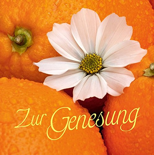Zur Genesung Kleine Perlen Books