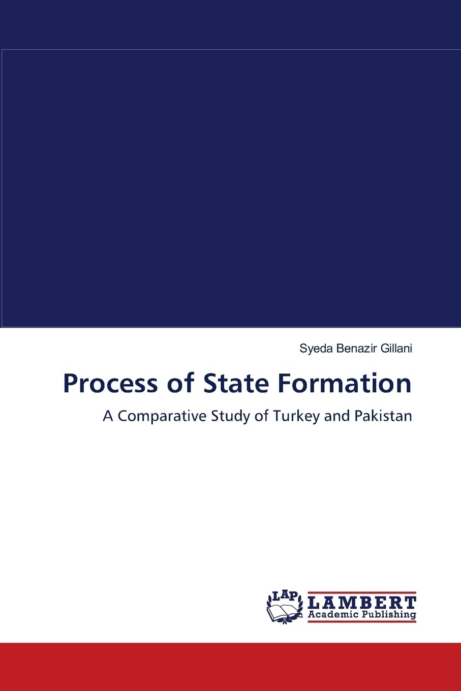 Process of State Formation: A Comparative Study of Turkey and Pakistan book
