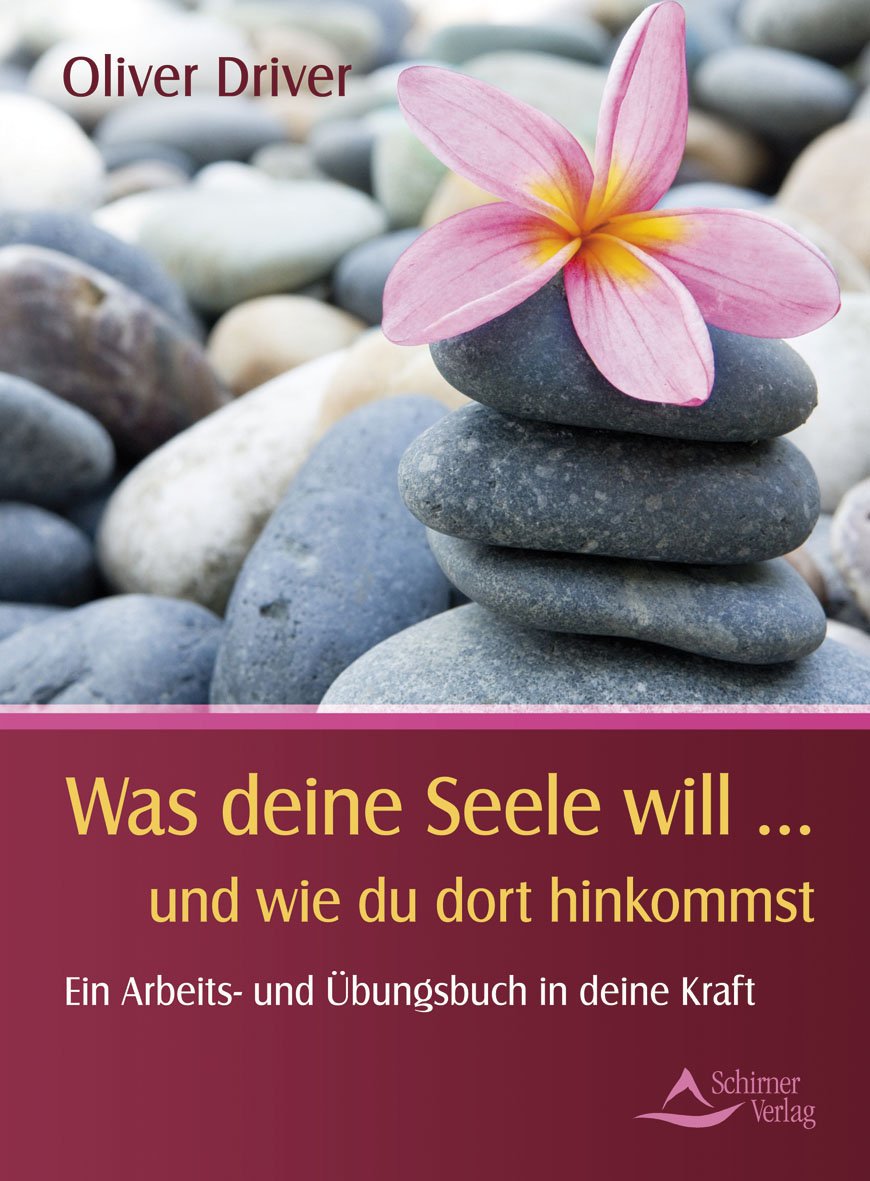 Was deine Seele will ...  und wie du dorthin kommst Business, Finance & Career