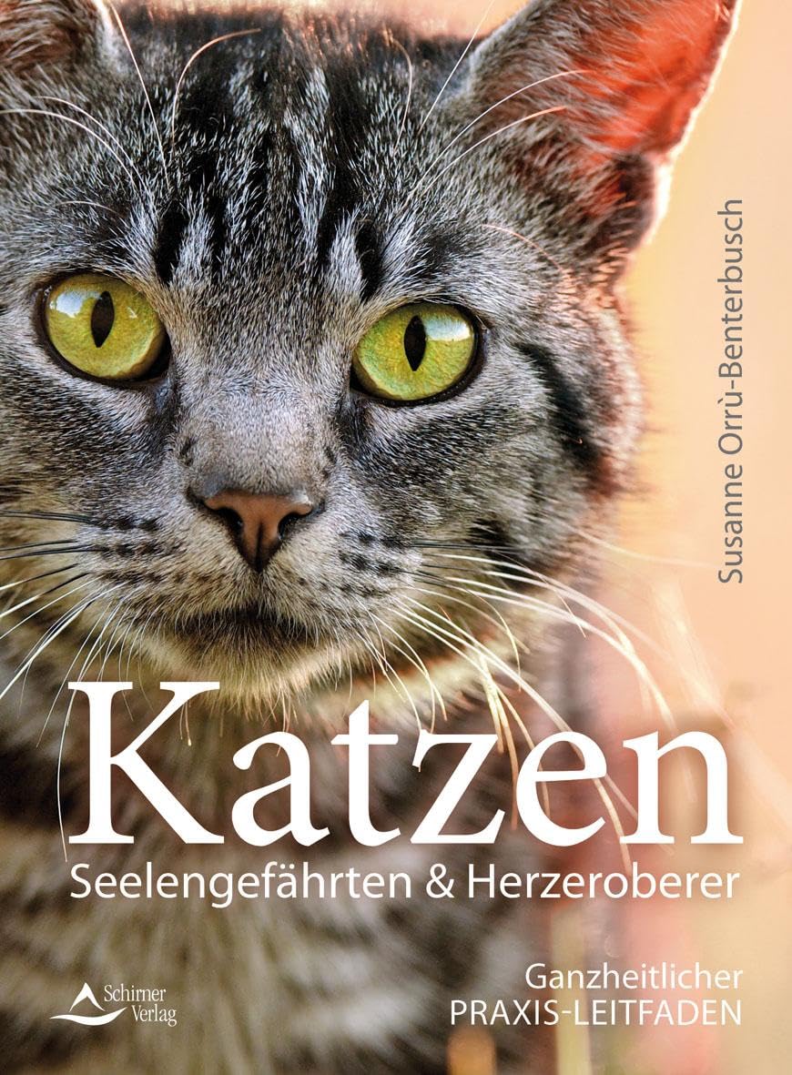 Katzen - Seelengefährten & Herzeroberer Medicine