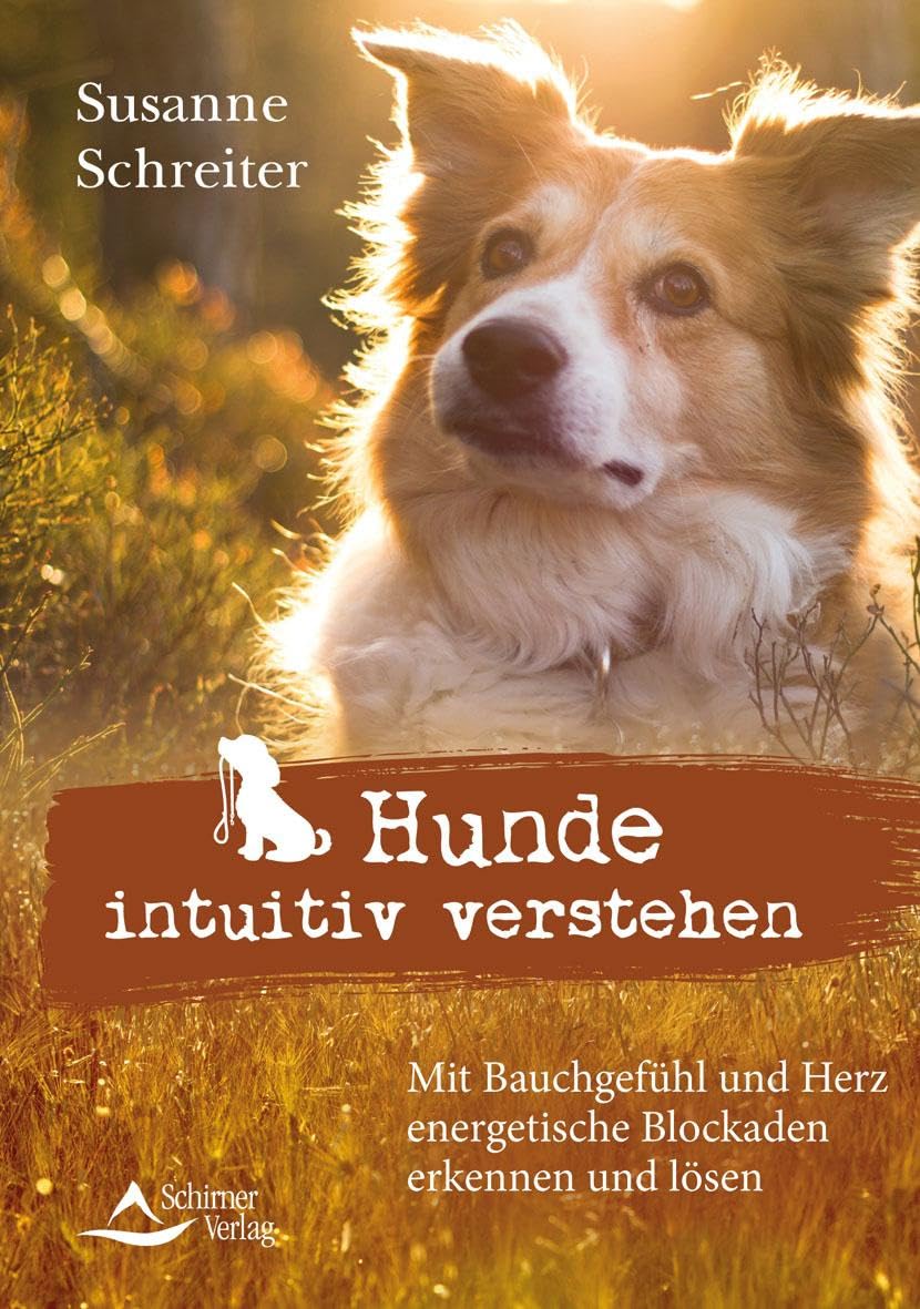 Hunde intuitiv verstehen Medicine