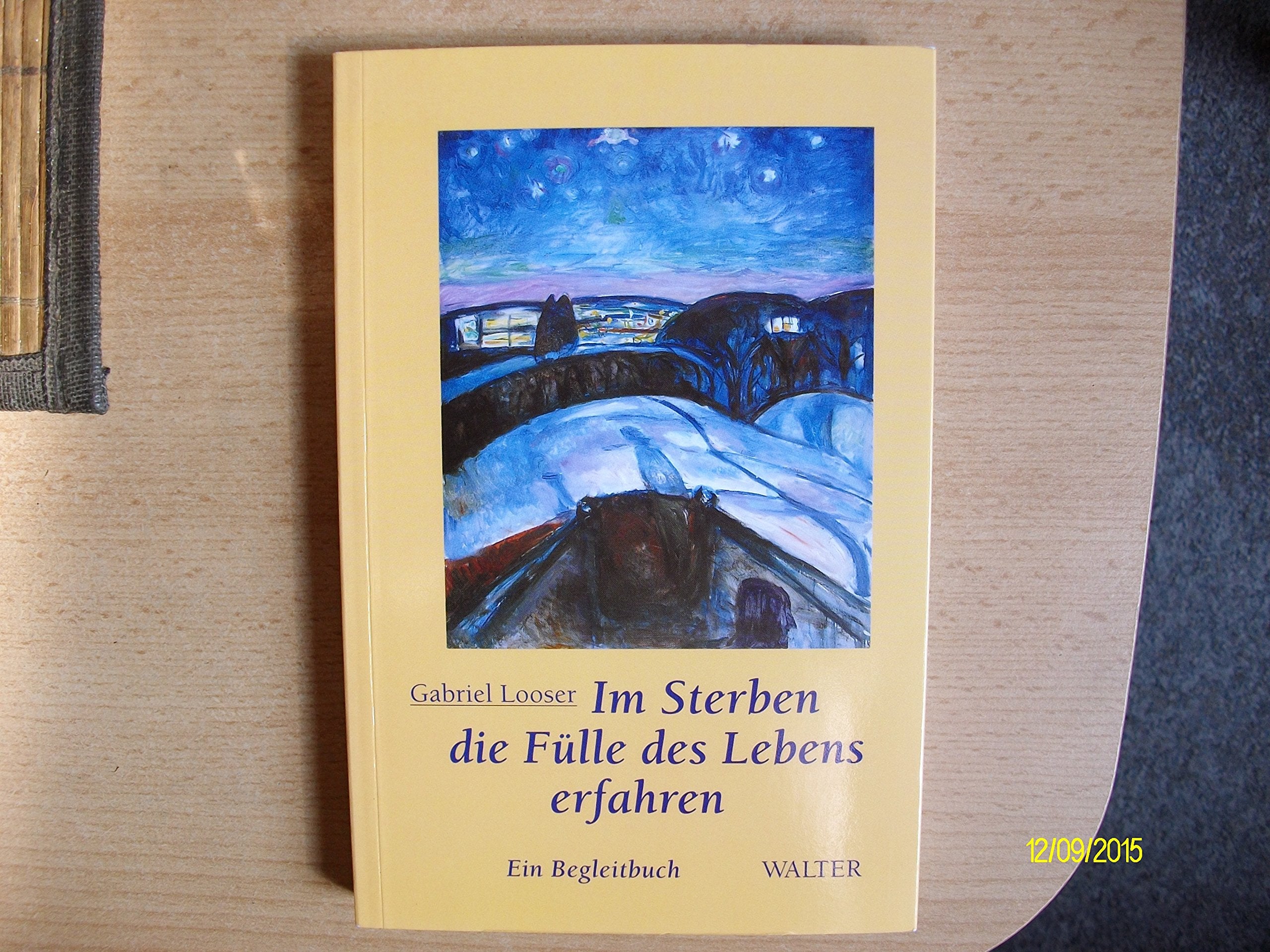 Im Sterben die Fülle des Lebens erfahren: Ein Begleitbuch Film, Art & Culture