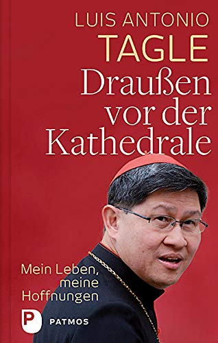 Draußen vor der Kathedrale Politics & Society Books