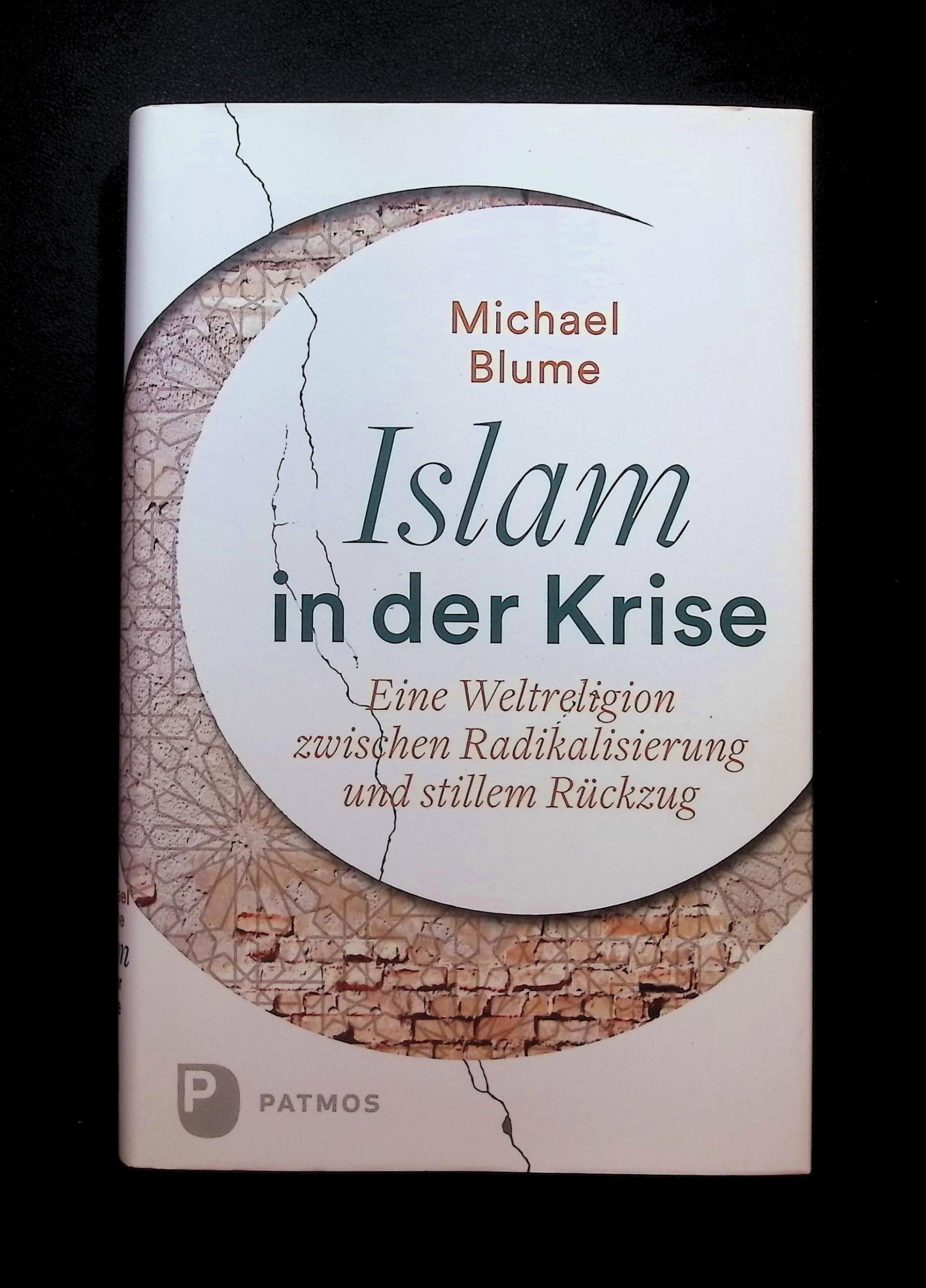 Islam in der Krise Politics & History books