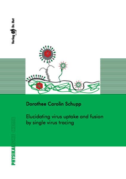 Elucidating virus uptake and fusion by single virus tracing (Physikalische Chemie) Natural Sciences
