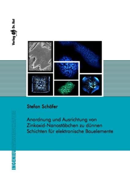 Anordnung und Ausrichtung von Zinkoxid-Nanostäbchen zu dünnen Schichten für elektronische Bauelemente (Ingenieurwissenschaften) Business & Technology