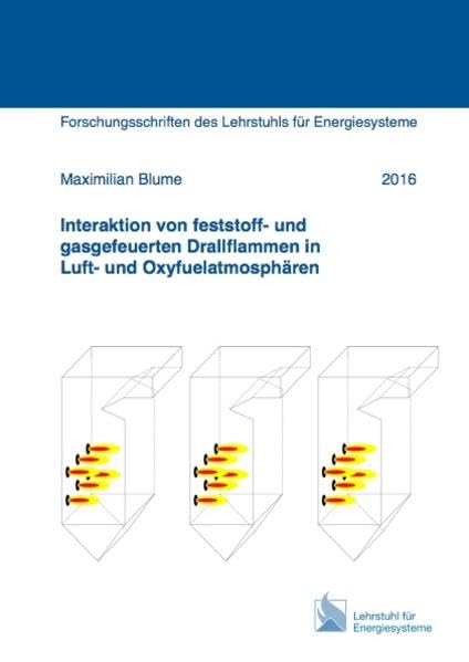 Interaktion von feststoff- und gasgefeuerten Drallflammen in Luft- und Oxyfuelatmosphären (Energietechnik) Business & Technology Books