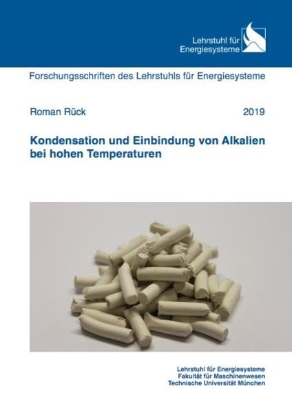 Kondensation und Einbindung von Alkalien bei hohen Temperaturen (Energietechnik) Business & Technology