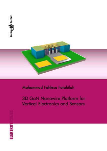 3D GaN Nanowire Platform for Vertical Electronics and Sensors (Elektrotechnik) Business & Technology