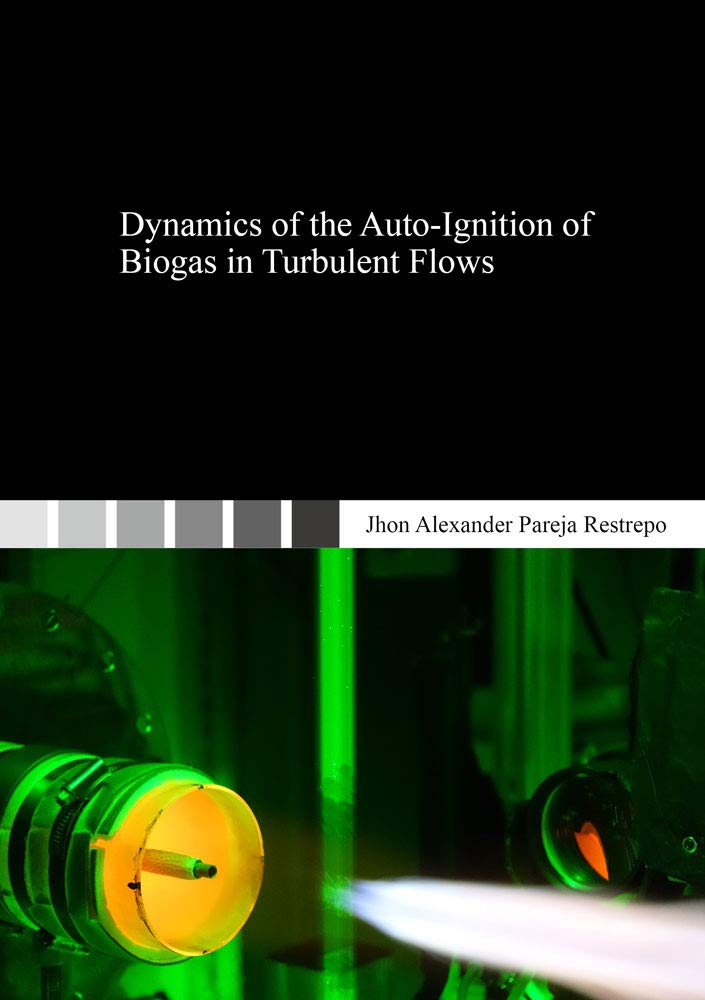 Dynamics of the Auto-Ignition of Biogas in Turbulent Flows (Messtechnik und Sensorik) Business & Technology