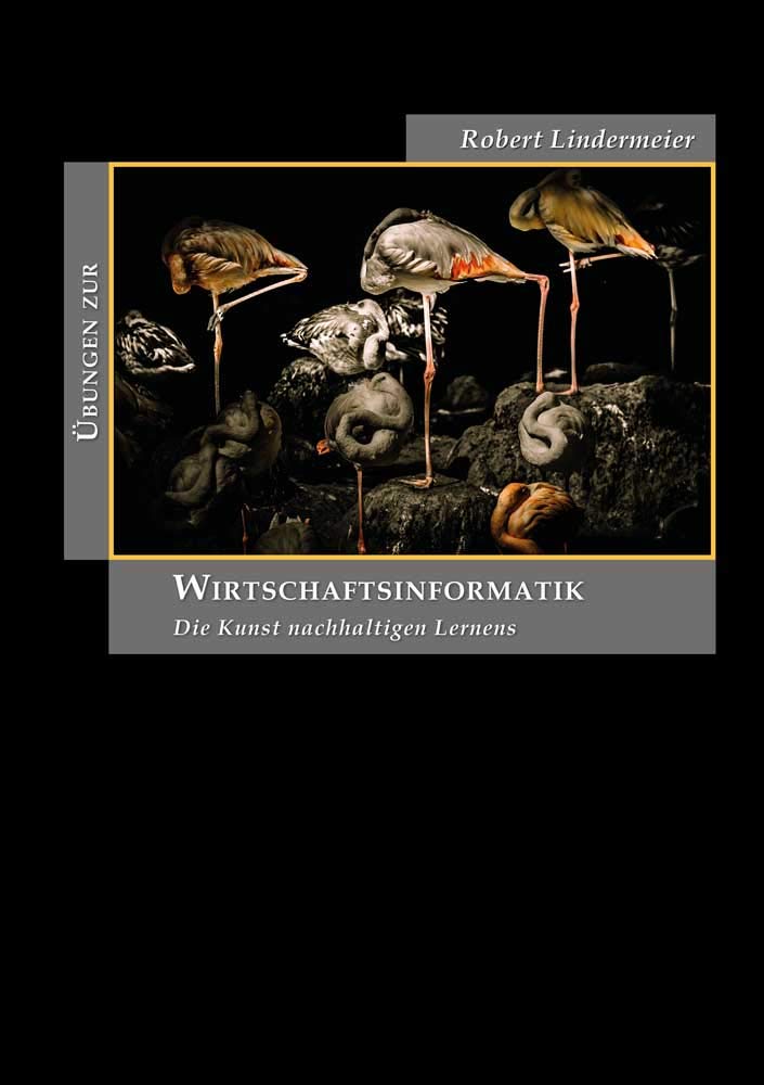 Übungen zur Wirtschaftsinformatik: Die Kunst nachhaltigen Lernens (Berichte aus der Wirtschaftsinformatik) Law
