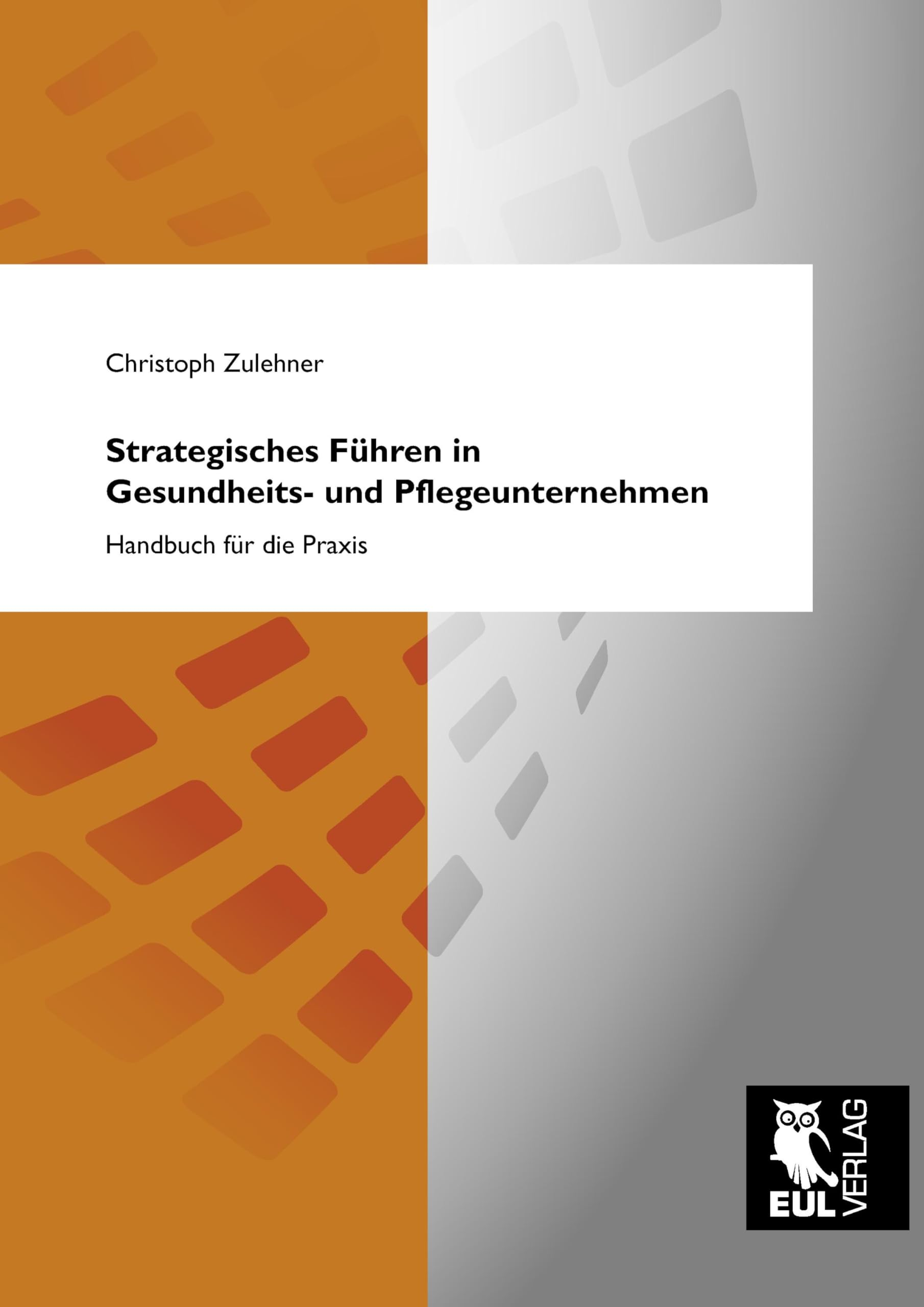 Strategisches Führen in Gesundheits- und Pflegeunternehmen: Handbuch für die Praxis Medicine