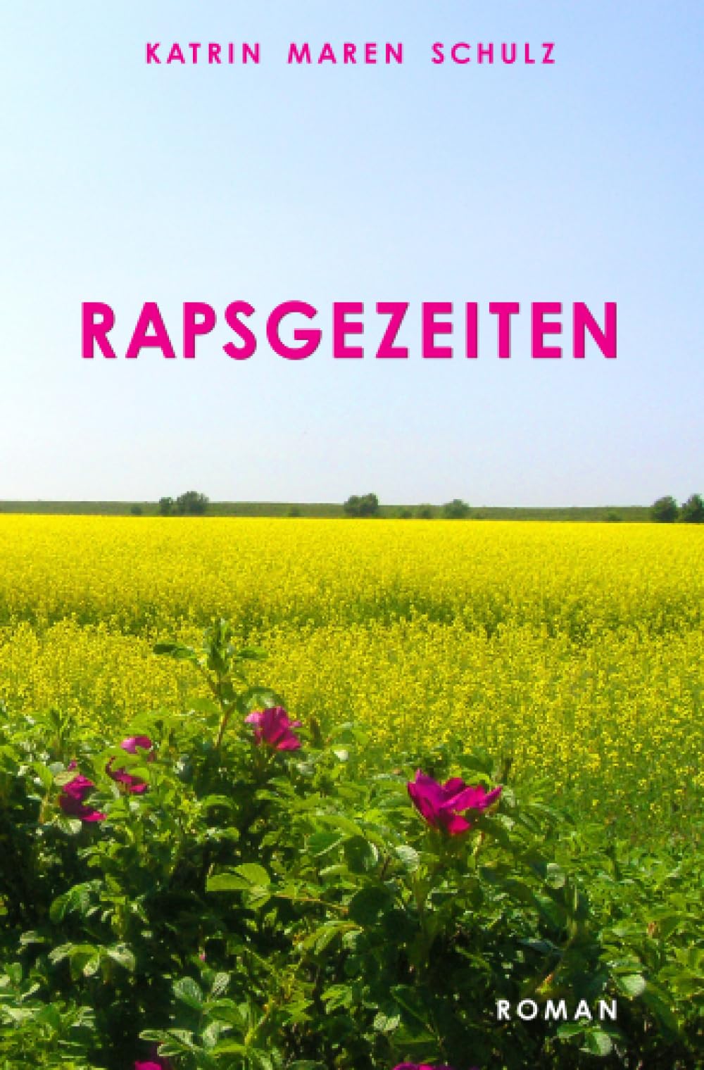 Rapsgezeiten: Über eine Auszeit an der Nordsee Contemporary literature
