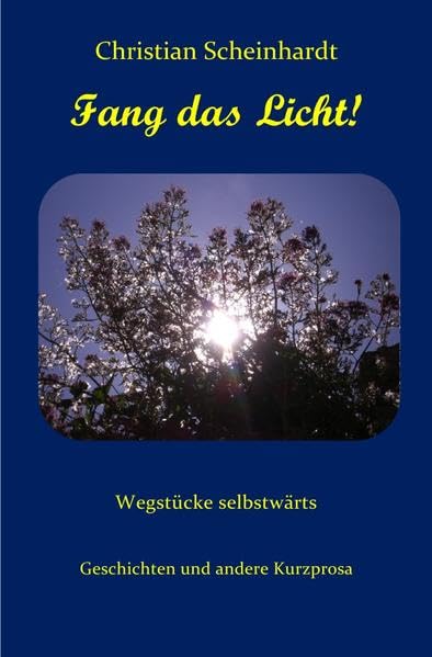 Fang das Licht!: Wegstücke selbstwärts Contemporary literature