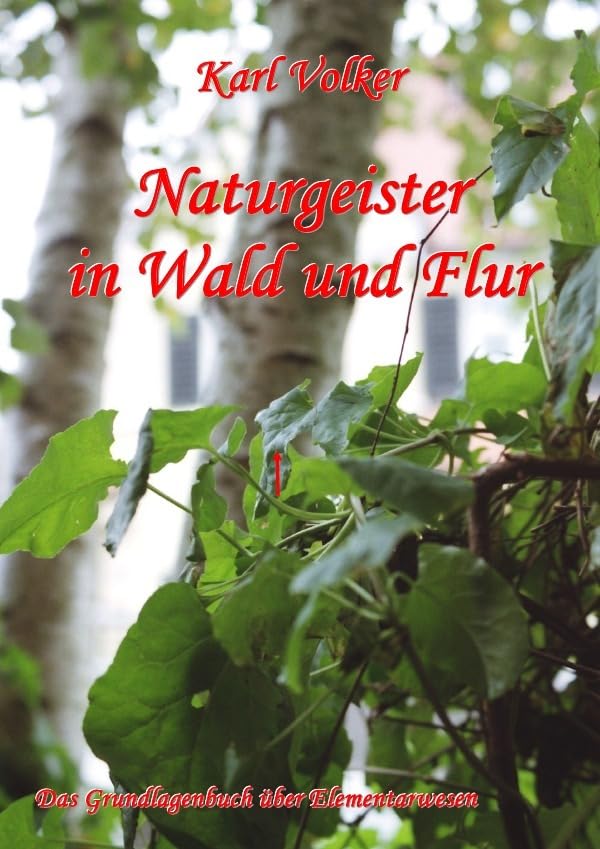 Naturgeister in Wald und Flur: Das Grundlagenbuch über Elementarwesen Fiction