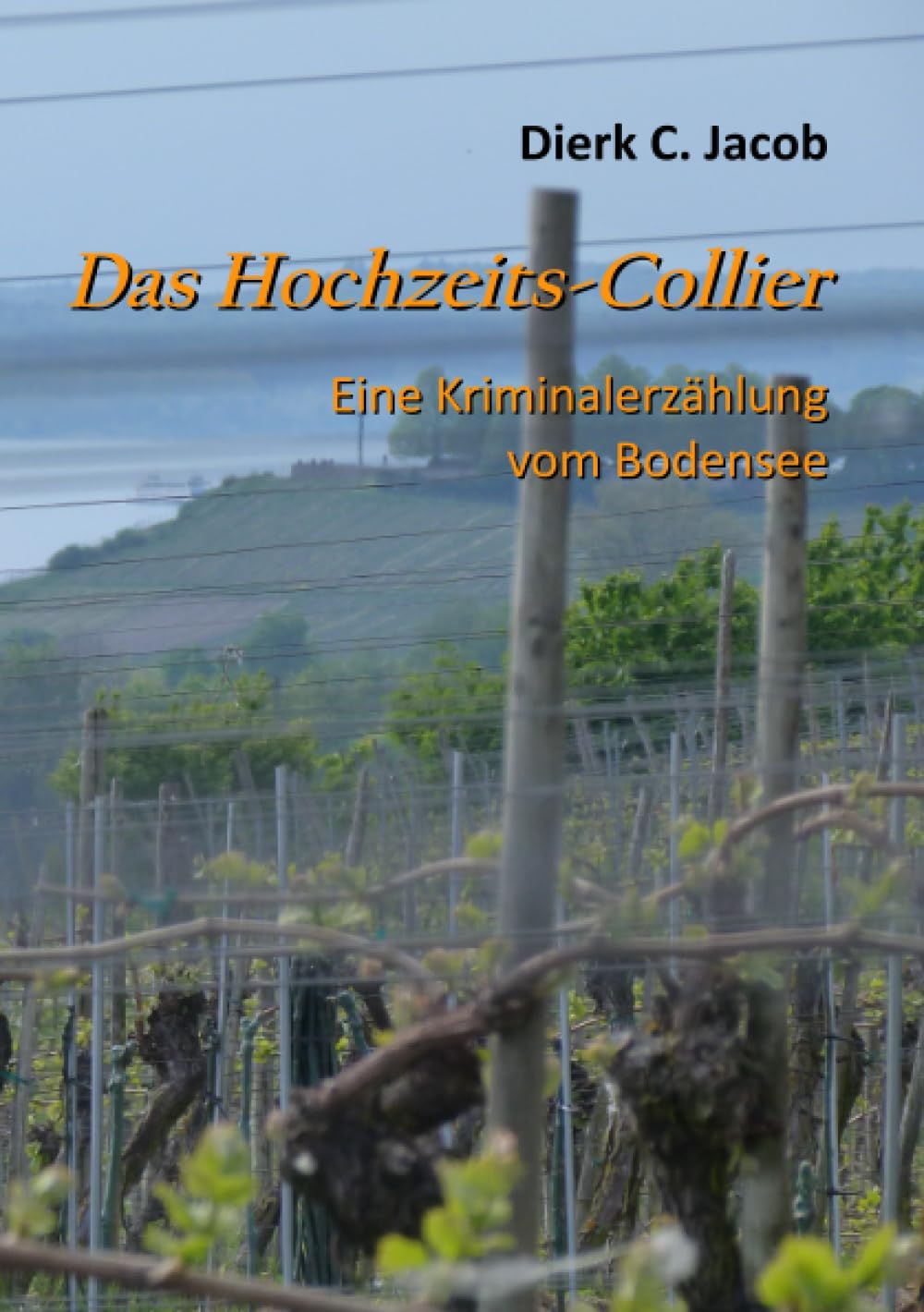 Das Hochzeits-Collier: Eine Kriminalerzählung vom Bodensee Contemporary literature