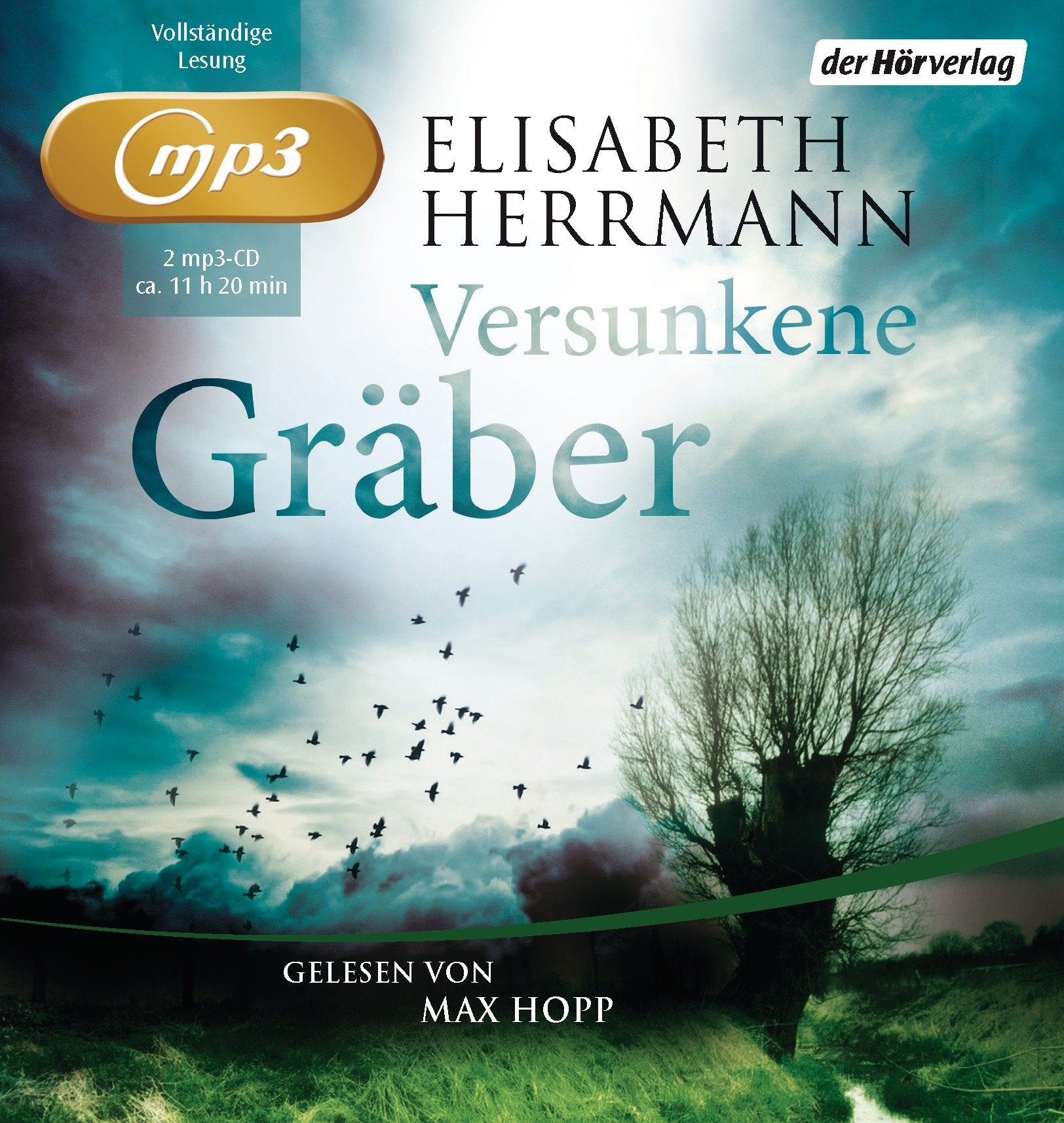 Versunkene Gräber Contemporary literature Books