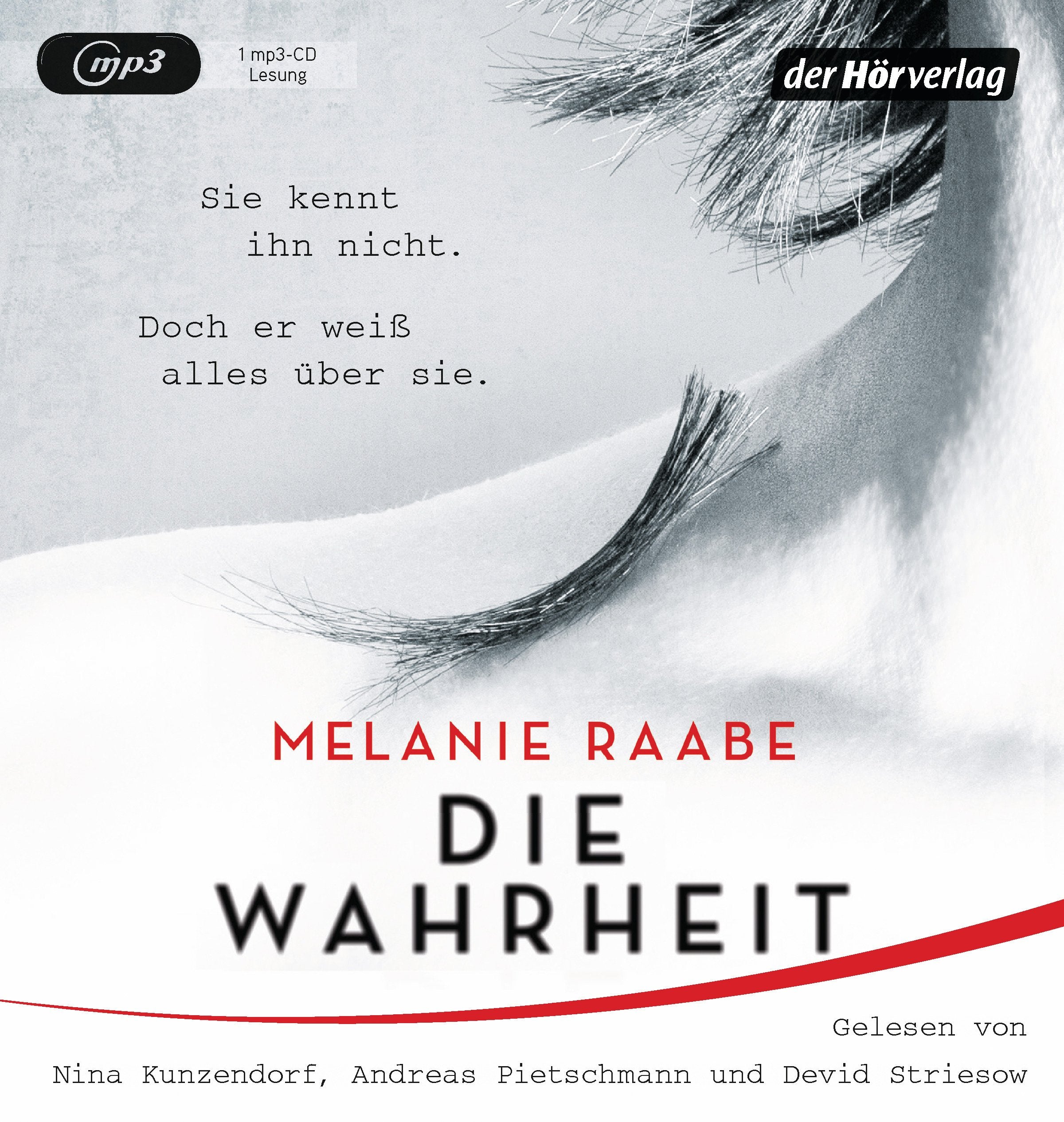 DIE WAHRHEIT: Thriller Contemporary literature