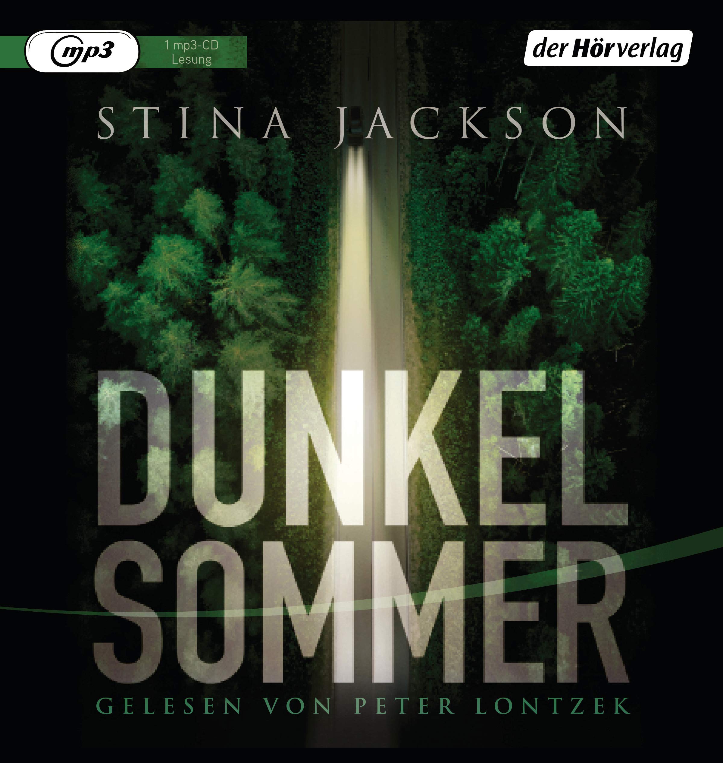 Dunkelsommer Contemporary literature