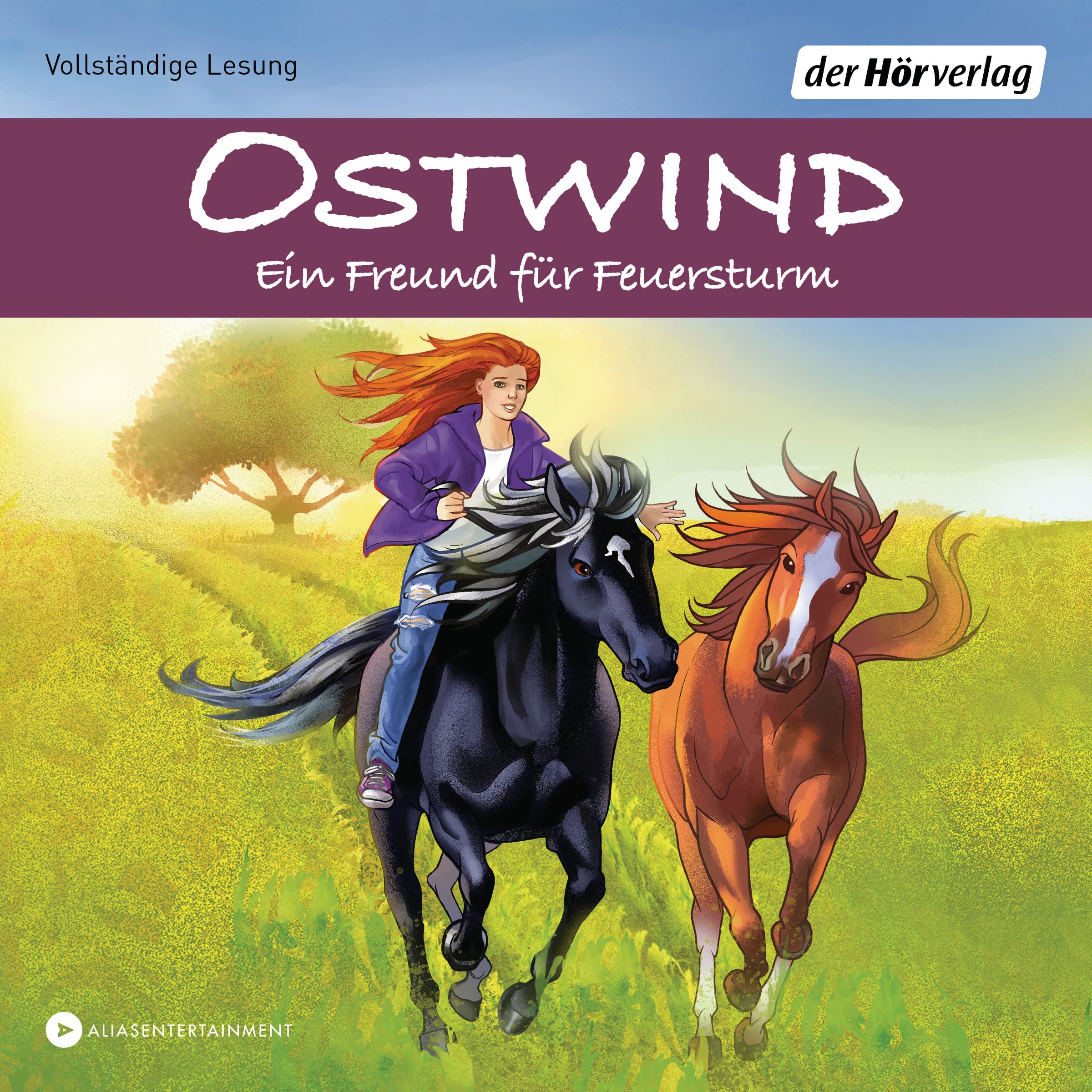 Ostwind - Ein Freund für Feuersturm Novels & Short Stories