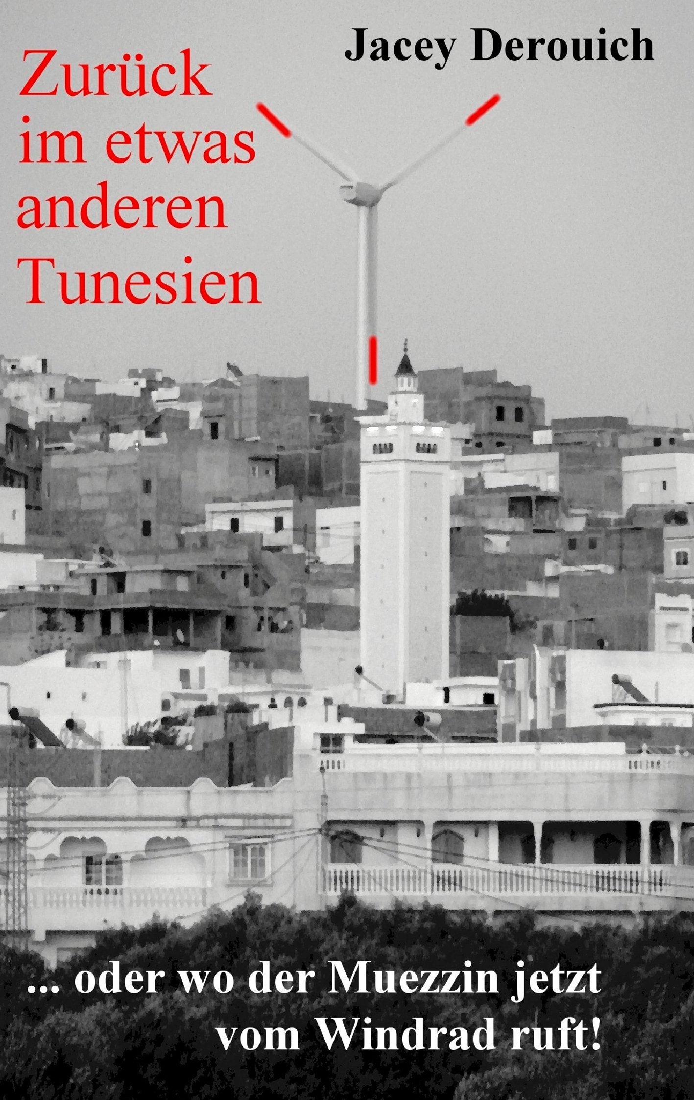 Zurück im etwas anderen Tunesien: ... oder wo der Muezzin jetzt vom Windrad ruft! Contemporary literature