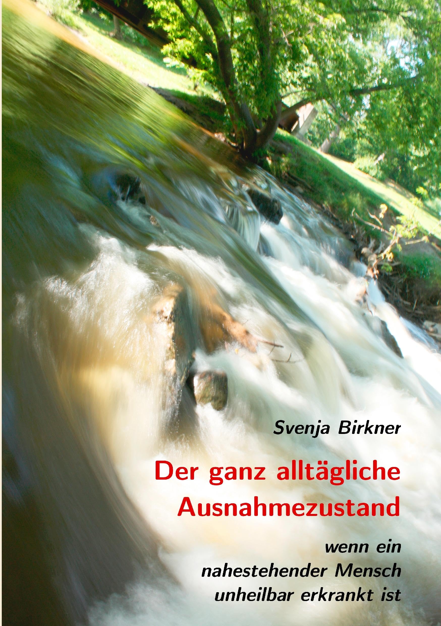 Der ganz alltägliche Ausnahmezustand book