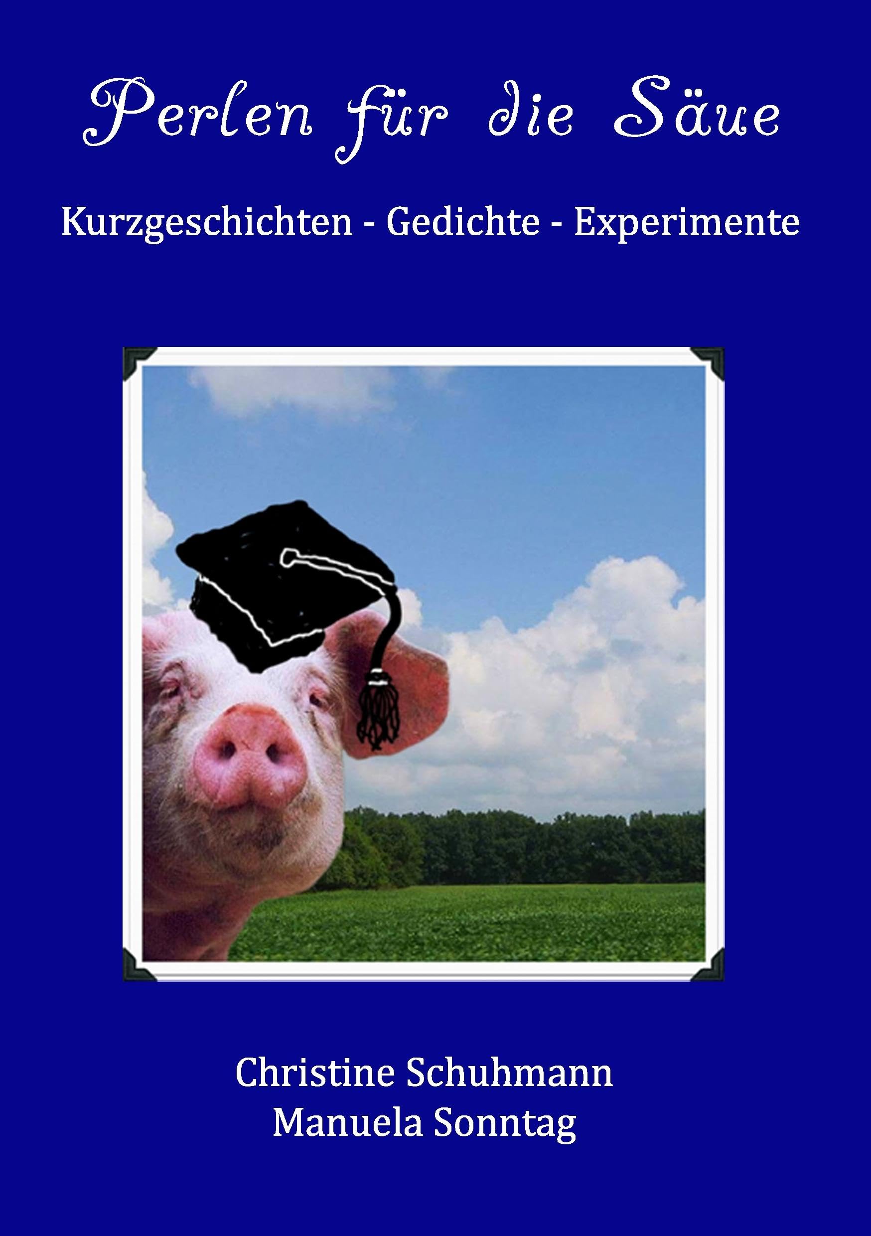 Perlen für die Säue: Kurzgeschichten - Gedichte - Experimente Essays & Short Stories