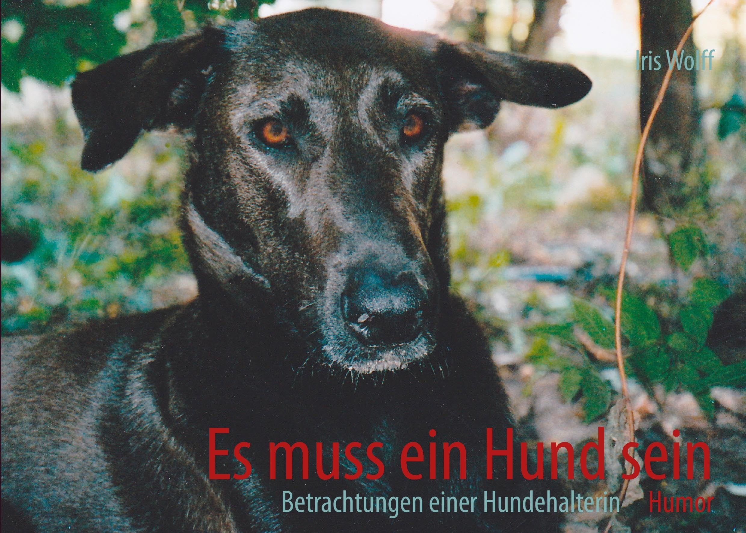 Es muss ein Hund sein: Betrachtungen einer Hundehalterin Humour & Satire