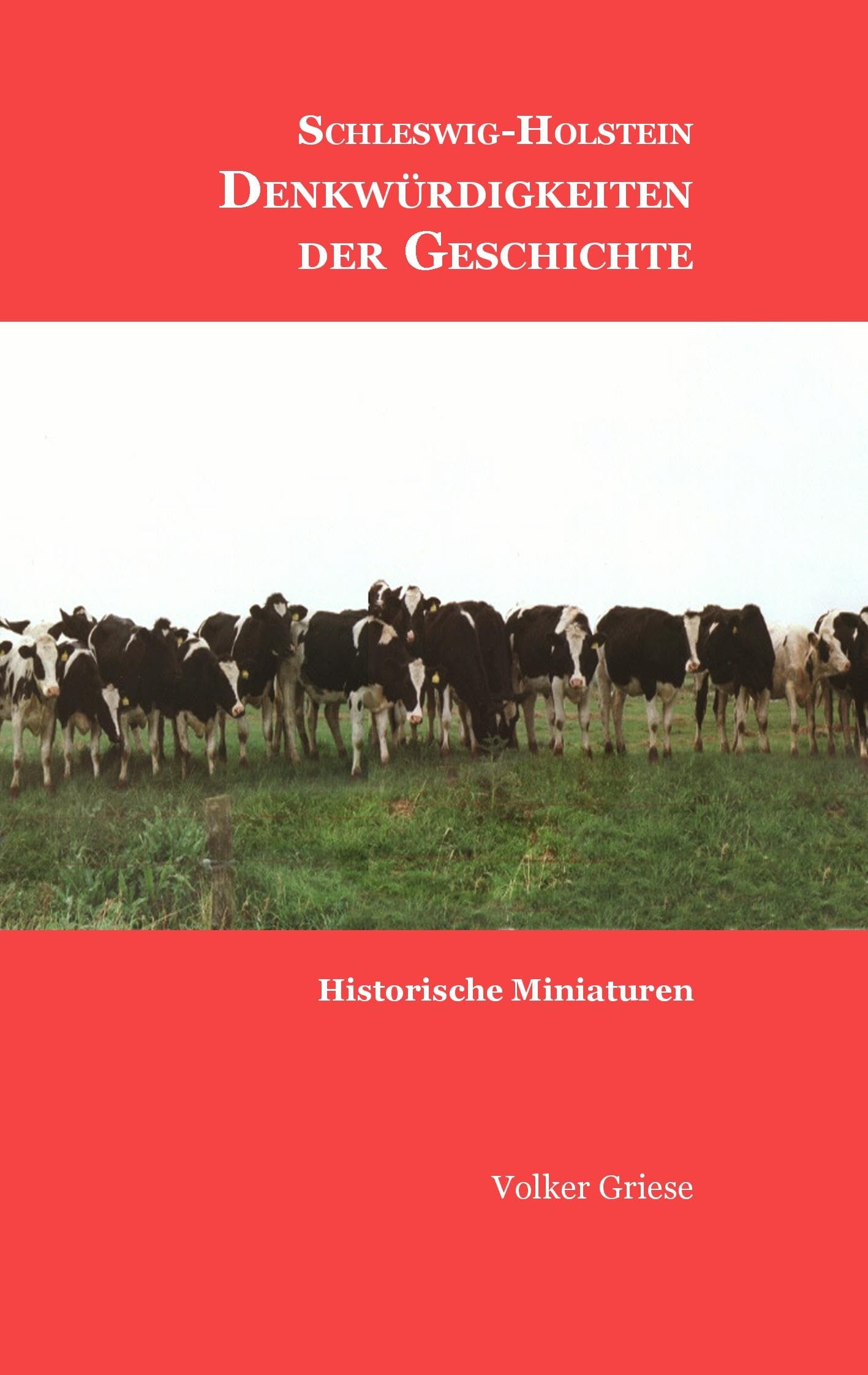 Schleswig-Holstein - Denkwürdigkeiten der Geschichte book