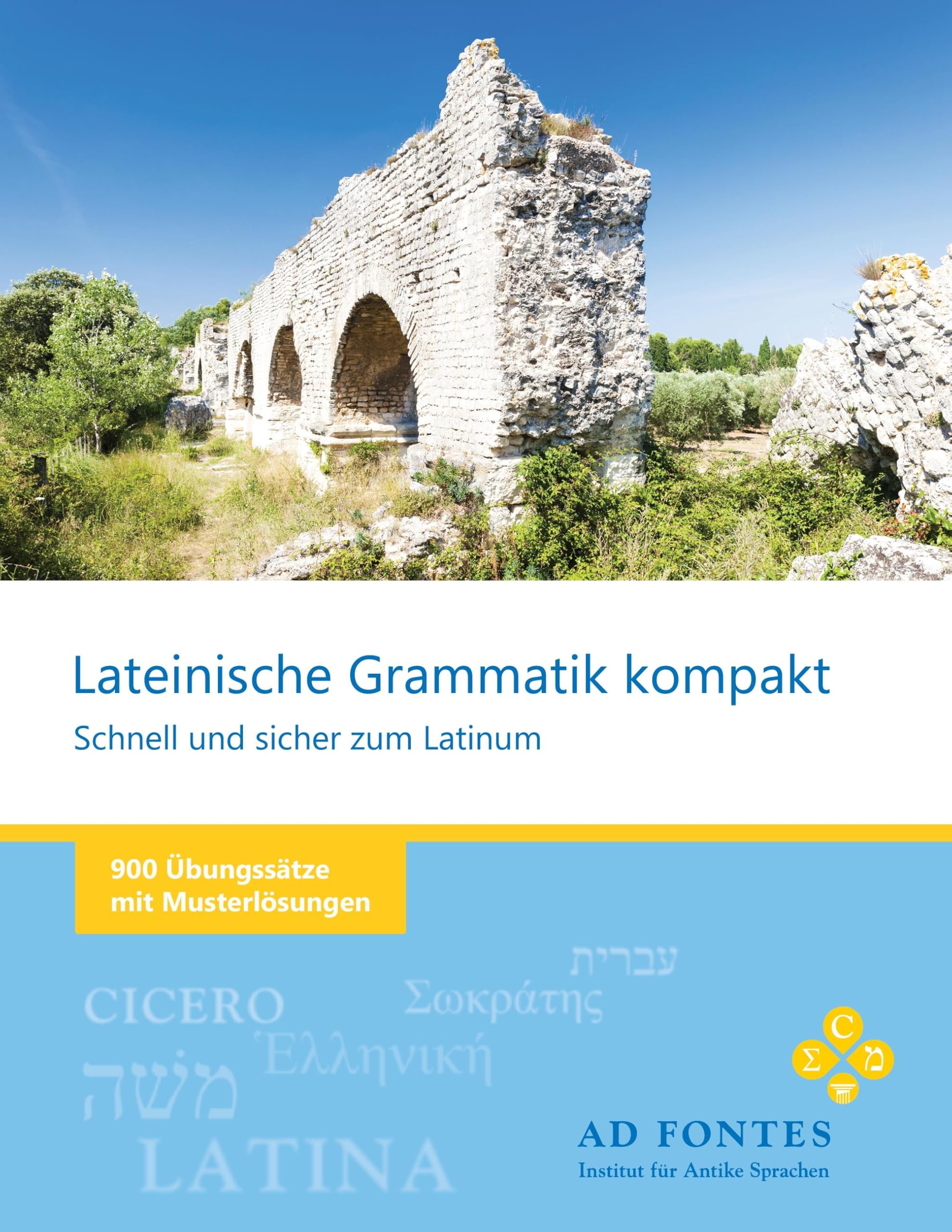 Lateinische Grammatik kompakt Learning & Reference