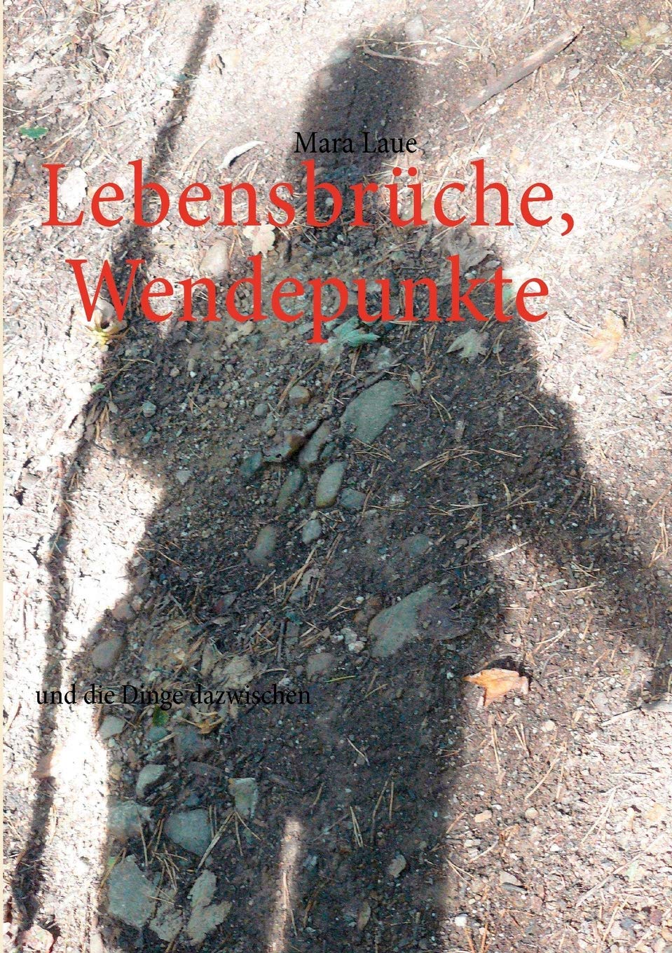 Lebensbrüche, Wendepunkte: und die Dinge dazwischen Contemporary literature