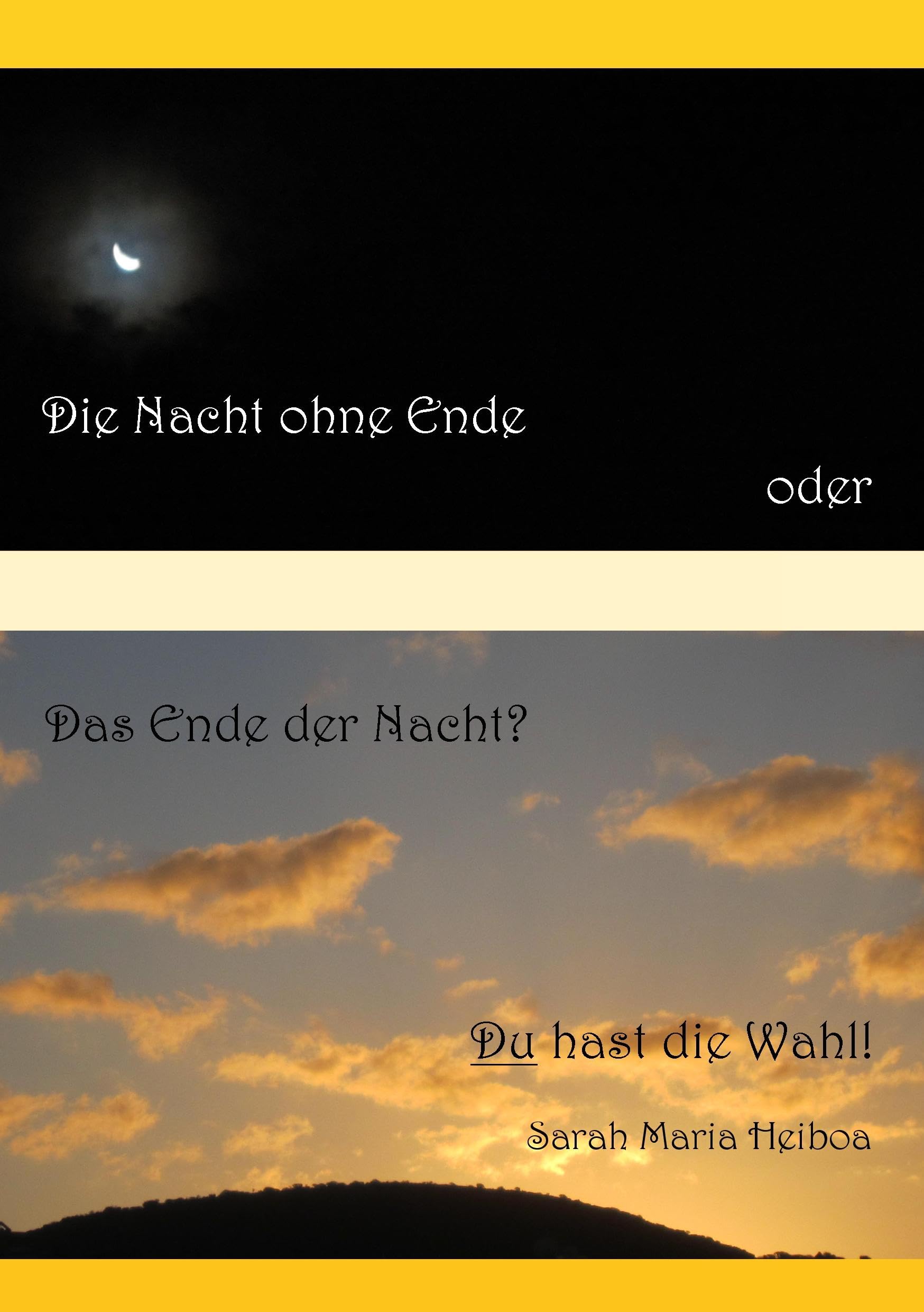 Die Nacht ohne Ende oder das Ende der Nacht?: Du hast die Wahl! Contemporary literature