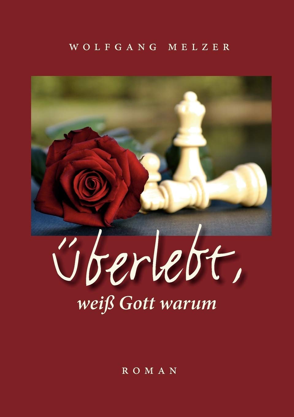 Überlebt, weiß Gott warum: Roman Contemporary literature