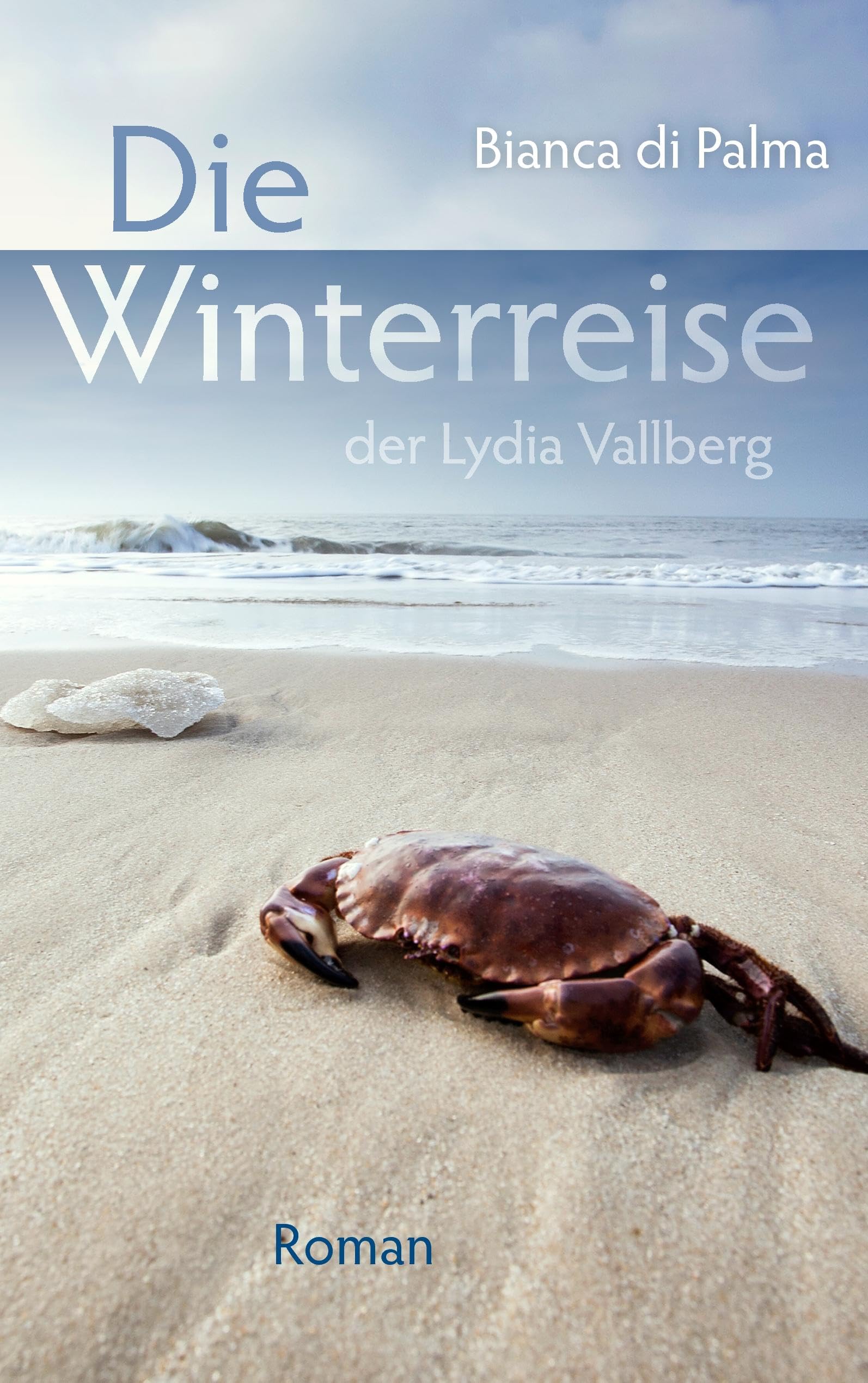 Die Winterreise der Lydia Vallberg: Roman Contemporary literature