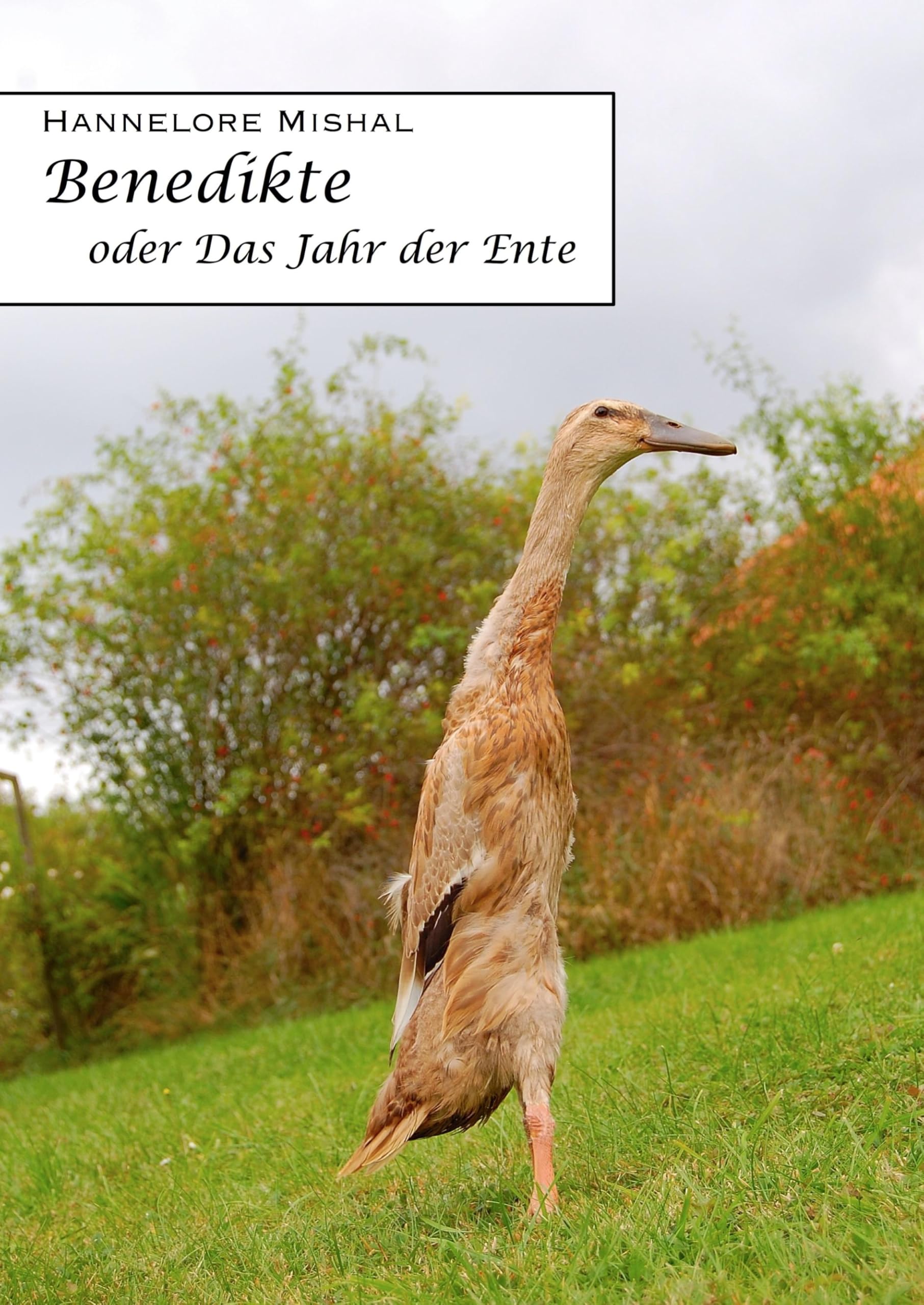Product Image: Benedikte oder das Jahr der Ente
