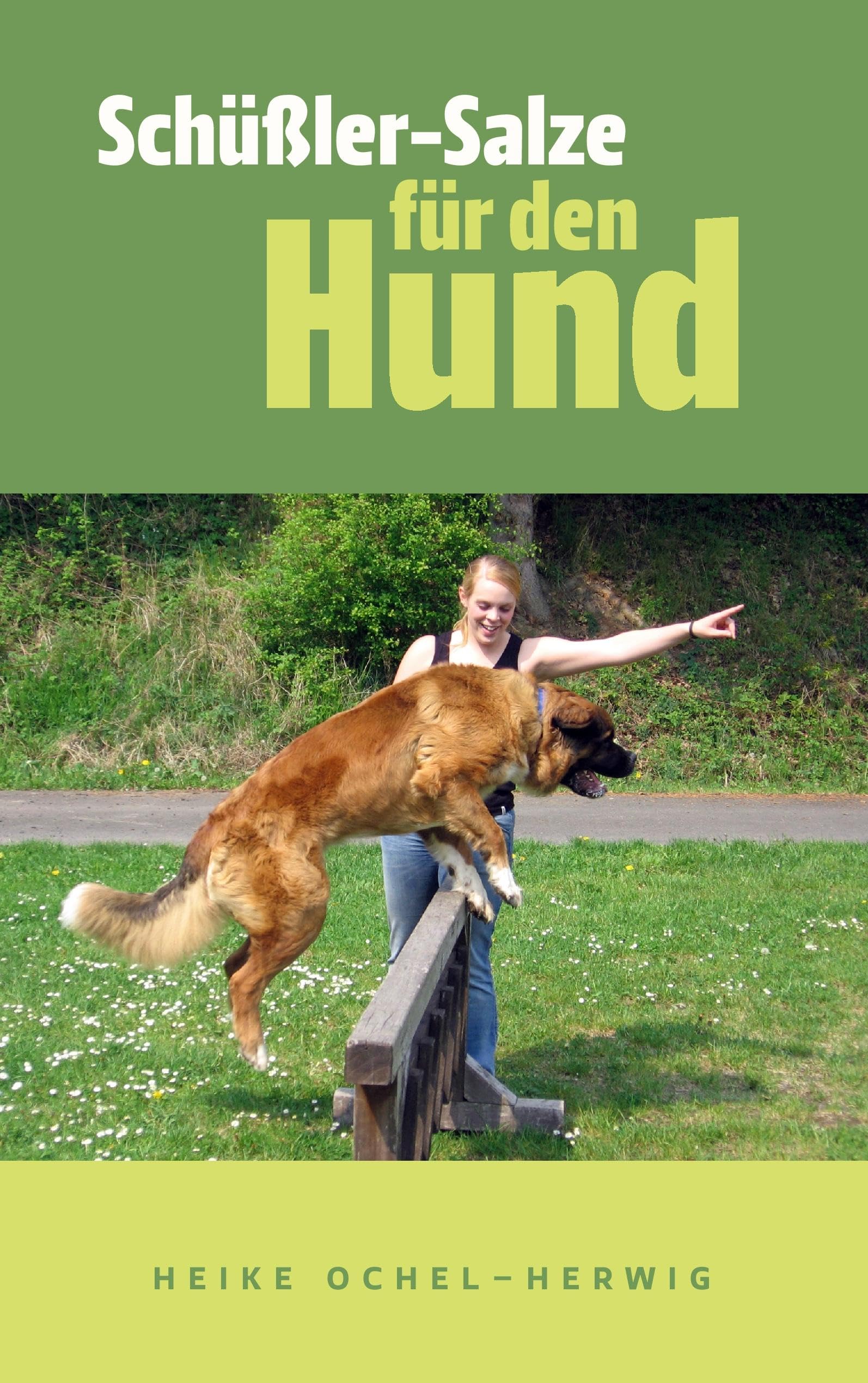 Schüßler-Salze für den Hund Pets