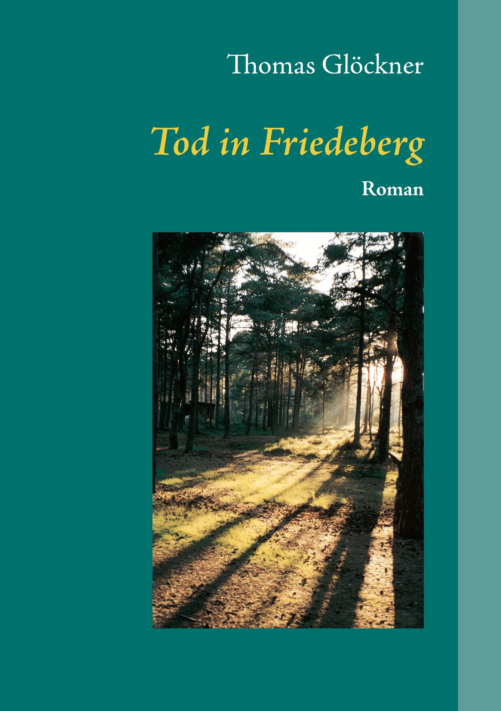 Tod in Friedeberg: Eine Spurensuche in Niederschlesien Contemporary literature
