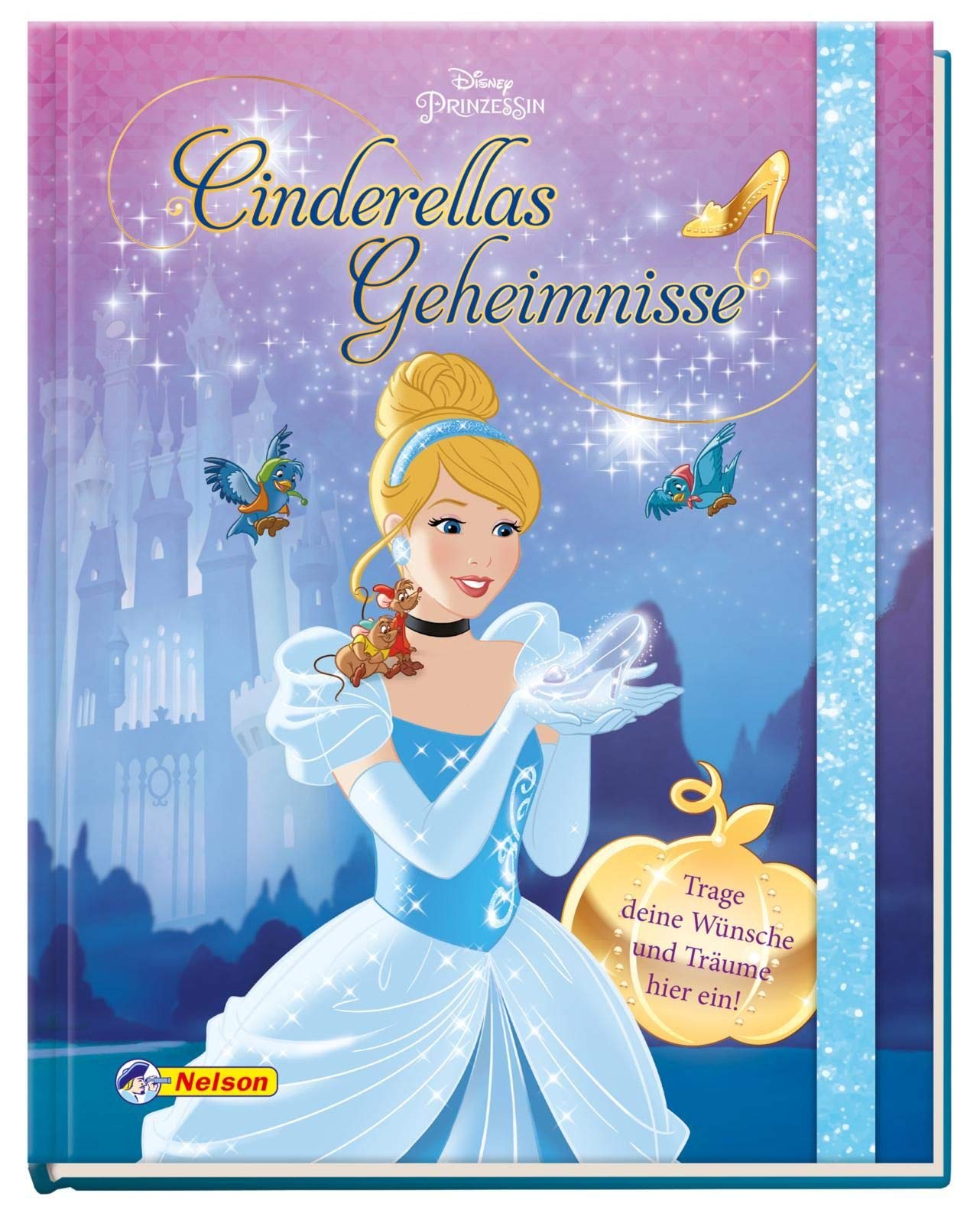 Disney Prinzessin: Cinderellas Geheimnisse Non-fiction
