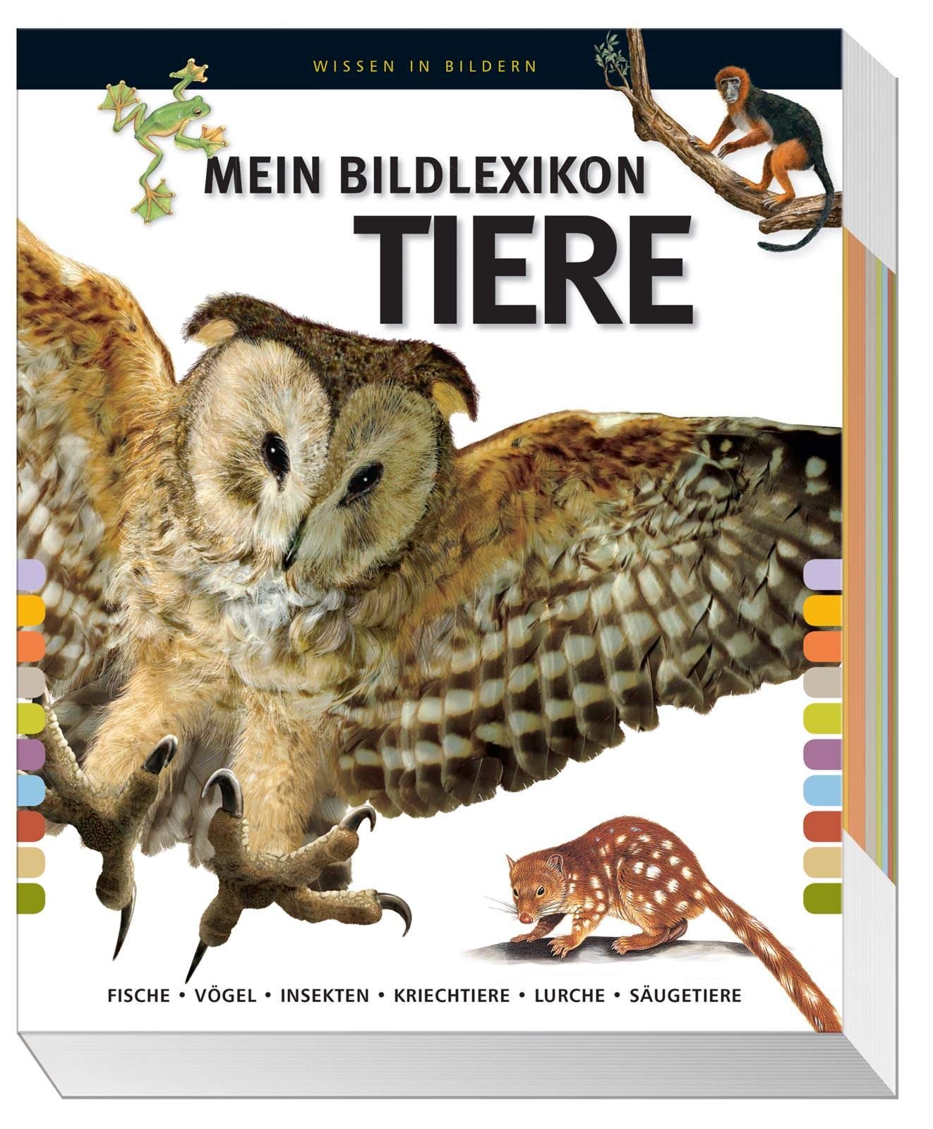 Mein großes Bildlexikon Tiere General education Books